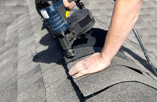 Best Roof Ventilation Installation  in Saucier, MS