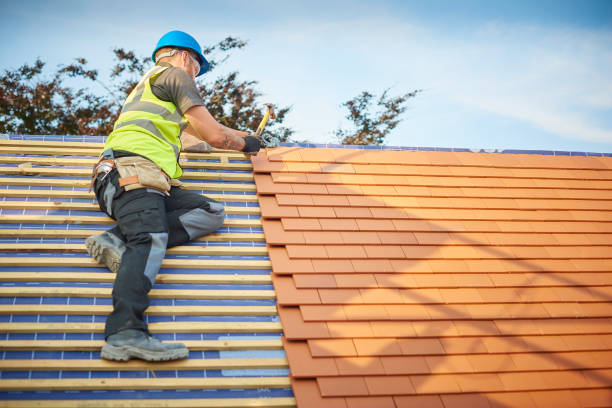 Best Roof Moss and Algae Removal  in Saucier, MS